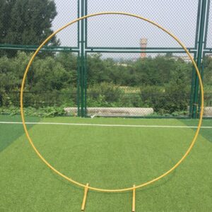 Metal Ring Backdrop In Gold